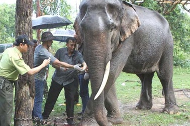 Những hình ảnh ấn tượng tuần qua