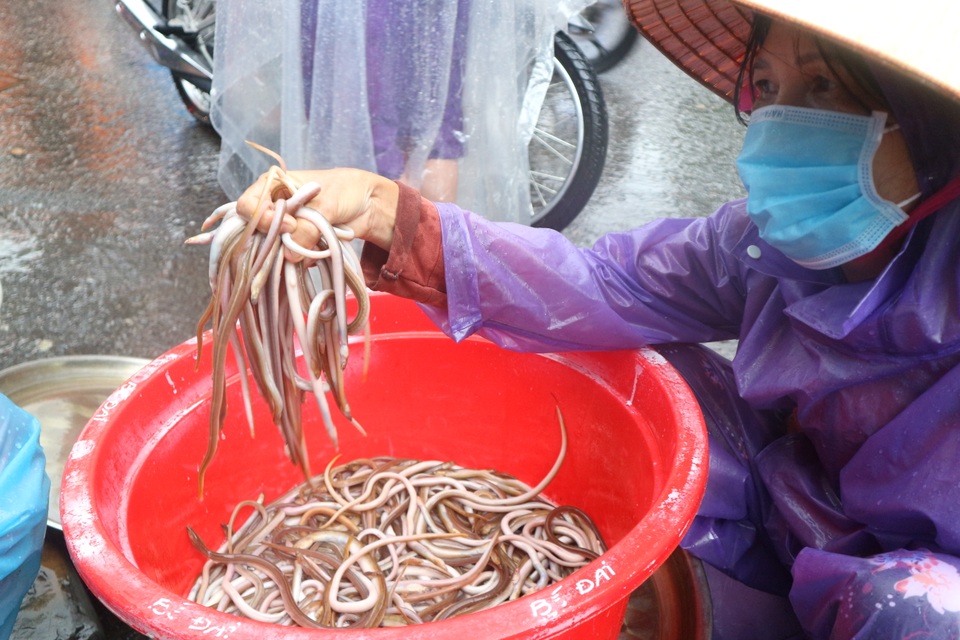 Hội An: Người dân phấn khởi đón “lộc trời” mùa lũ - 2 Hội An: Người dân phấn khởi đón “lộc trời” mùa lũ - 2