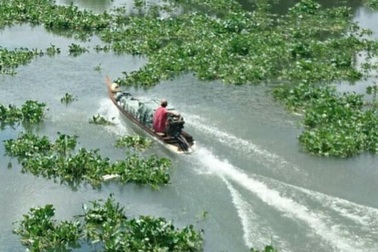 Nghi án 2 nhóm buôn lậu thuốc lá bắn nhau