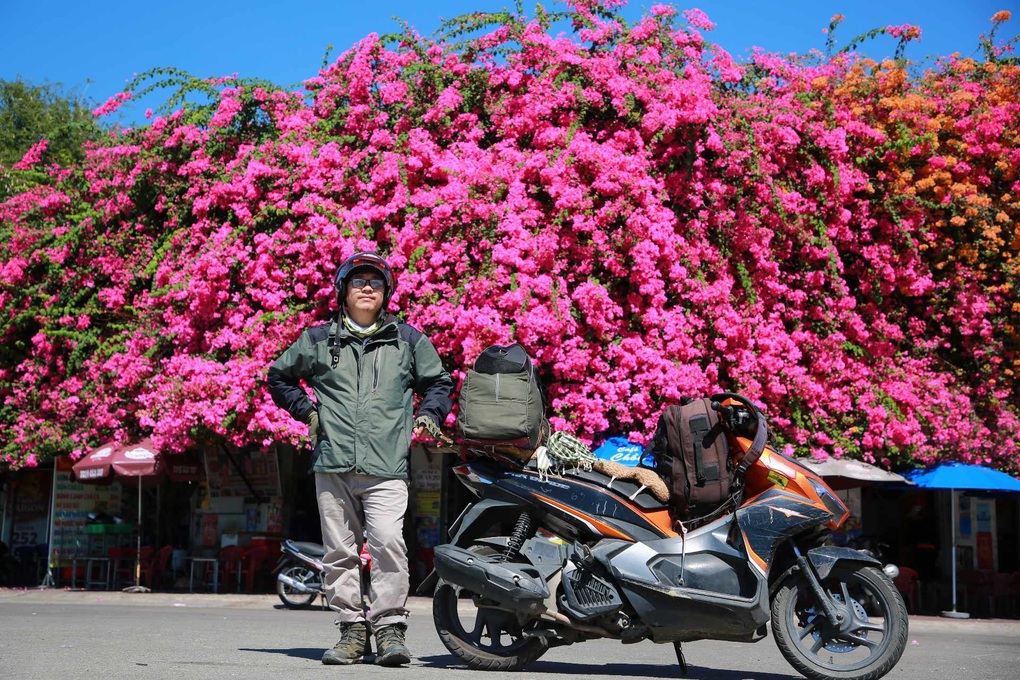 Giàn hoa giấy khổng lồ, phủ kín căn nhà bên bờ sông ở Phan Thiết - 1