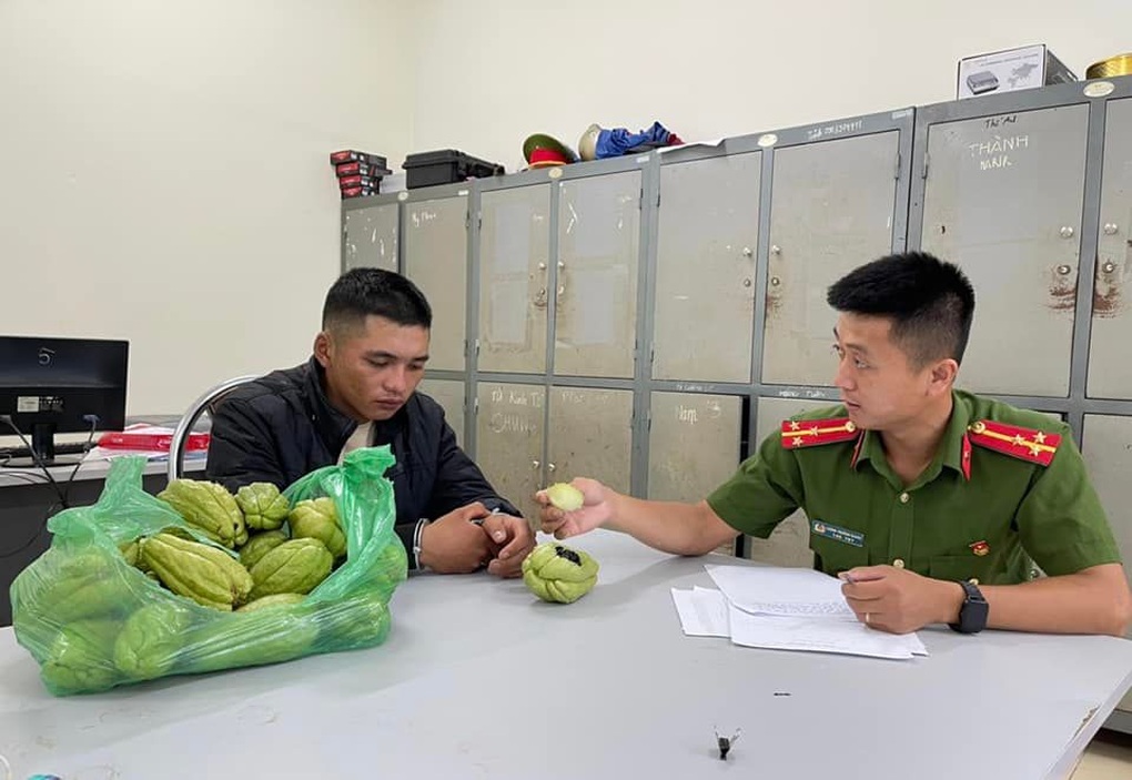 Thanh niên giấu hàng trắng trong quả su su, nữ quái chở cả bao tải ma túy - 2 Thanh niên giấu hàng trắng trong quả su su, nữ quái chở cả bao tải ma túy - 2