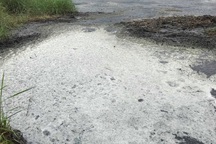 Bị lò mổ gia súc "tra tấn" xuyên ngày đêm, dân căng băng rôn phản đối quyết liệt!