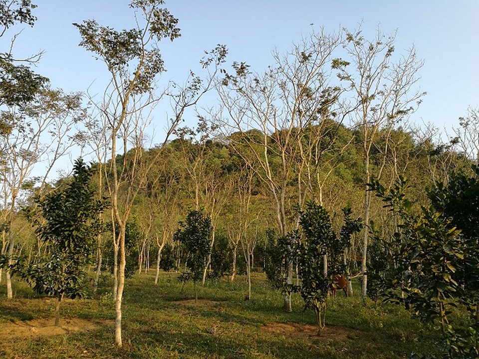 Kho báu ngàn tỷ đồng dưới thung lũng của lão nông Tuyên Quang bây giờ ra sao? - 1 Kho báu ngàn tỷ đồng dưới thung lũng của lão nông Tuyên Quang bây giờ ra sao? - 1
