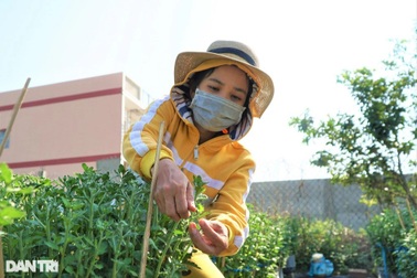 Thu nhập khá nhờ nghề "tuyển hoa, lặt nụ" mỗi năm chỉ có một lần