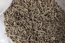 Thực phẩm bảo vệ sức khỏe sản xuất… mất vệ sinh