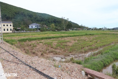 Nghệ An gấp rút chuẩn bị 30 khu tái định cư cho dự án đường sắt tốc độ cao