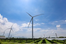 Doanh nghiệp điện gió kêu cứu vì bị cắt giảm công suất kéo dài