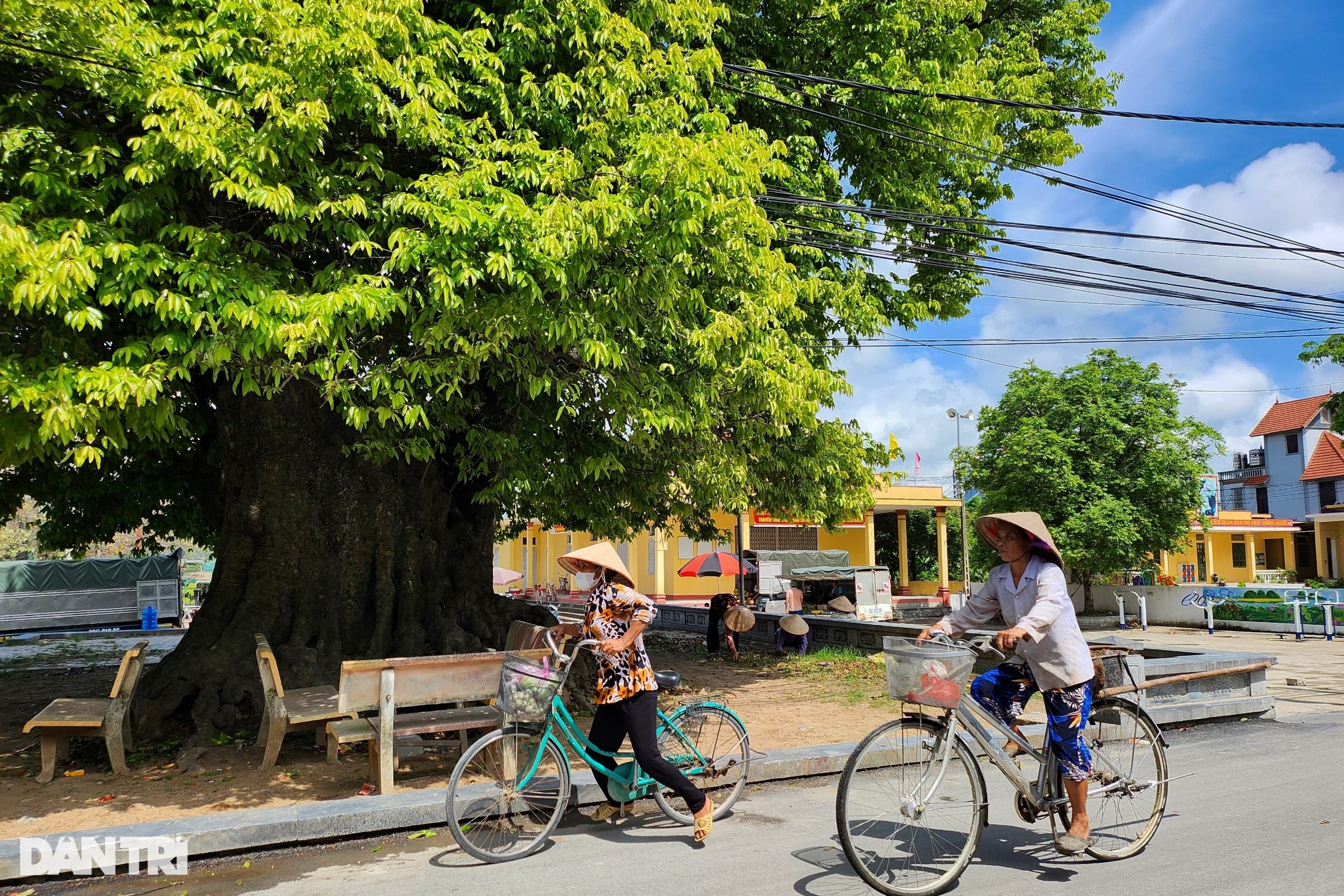 Cụ thị sống 3 thế kỷ được dân làng canh giữ như báu vật - 8