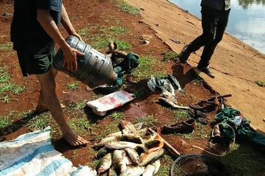 Cá chết bất thường trên hồ nghi do bị xả thải