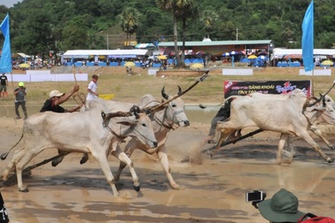 Người dân An Giang bắt tay làm du lịch trách nhiệm