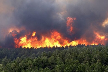 Nắng nóng bất thường, 20 điểm cháy rừng phát sinh 1 ngày