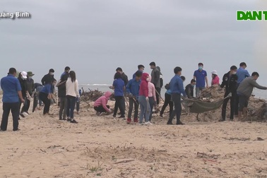 Gần 500 đoàn viên, thanh niên chung tay làm sạch bãi biển