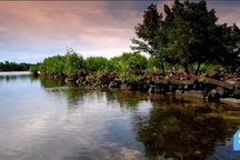 Thành phố "bị ám" trôi nổi trên đại dương khiến các nhà khoa học bối rối