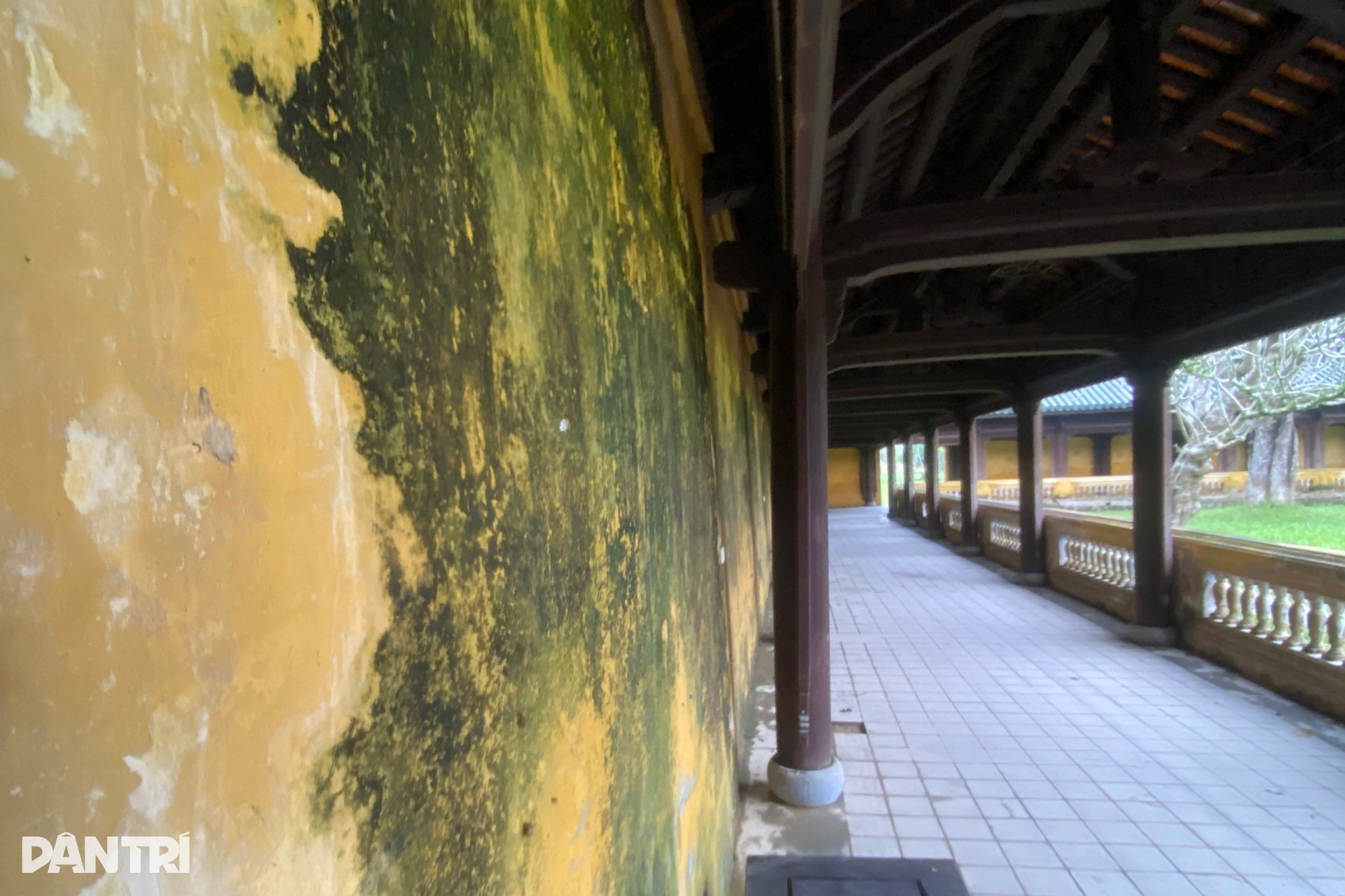 Cận cảnh đoạn tường đổ sập, cột gỗ ẩm mốc bên trong Hoàng thành Huế - 9 Cận cảnh đoạn tường đổ sập, cột gỗ ẩm mốc bên trong Hoàng thành Huế - 9