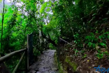 Đà Lạt, thành phố tình yêu mộng mơ trong sương