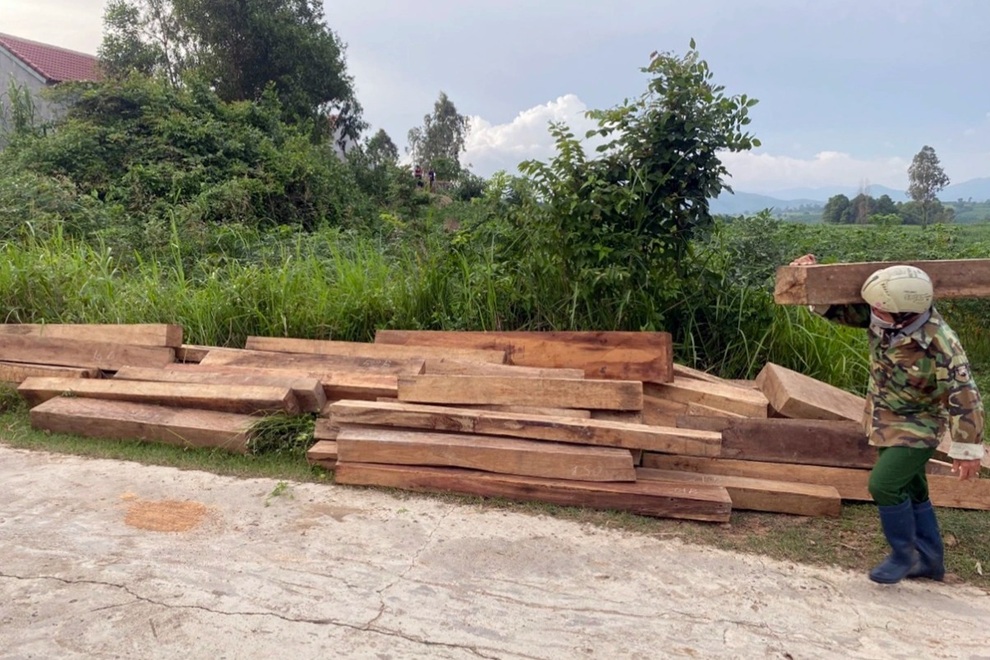 Tạm đình chỉ công tác nhân viên bảo vệ rừng giấu hơn 150 khúc gỗ trái phép - 1 Tạm đình chỉ công tác nhân viên bảo vệ rừng giấu hơn 150 khúc gỗ trái phép - 1