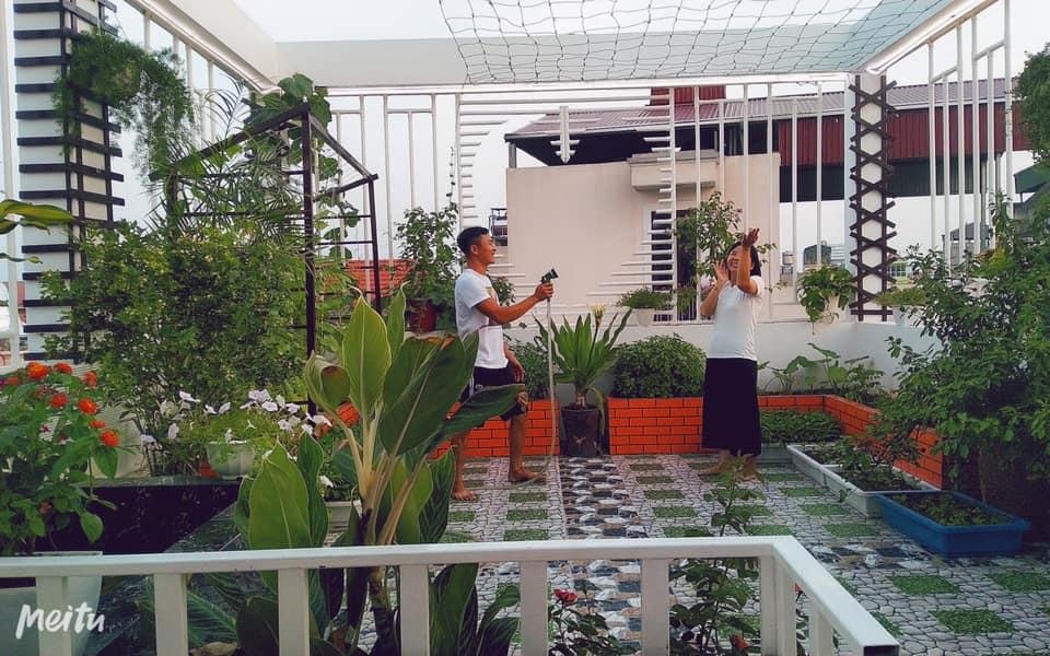 Người đàn ông Hà Nội phủ xanh sân thượng với khu vườn rau, trái sai trĩu - 9