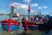Giá dầu tăng, tàu thuyền của ngư dân ngừng... ra biển