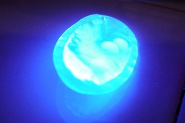 Viện Hoá học: Dịch lỏng trong áo ngực Trung Quốc có chất độc