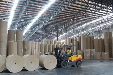 Nguy cơ gây ô nhiễm sông Tiền: Xem xét từ chối dự án nhà máy giấy gần 5.000 tỷ đồng