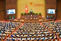 Sáng nay Quốc hội biểu quyết thông qua Luật Đất đai sửa đổi