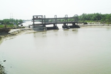 Ứng khẩn 6 tỷ đồng phòng chống hạn, mặn