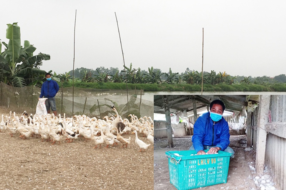 Nam thanh niên ủng hộ khu cách ly 1.000 quả trứng vịt - 1 Nam thanh niên ủng hộ khu cách ly 1.000 quả trứng vịt - 1