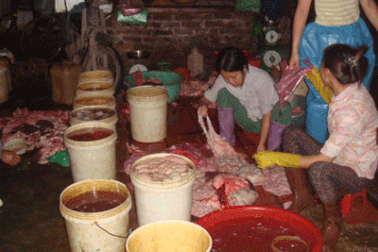 Kiến nghị đình chỉ hoạt động “lò mổ” Thịnh Liệt