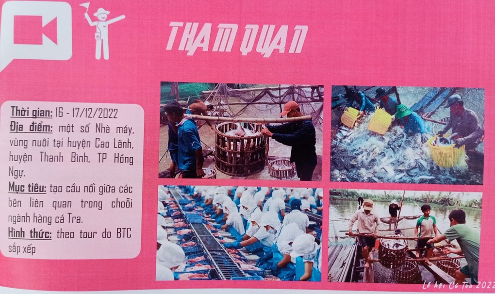 Lễ hội cá tra lần đầu tiên được tổ chức tại Đồng Tháp - 1 Lễ hội cá tra lần đầu tiên được tổ chức tại Đồng Tháp - 1