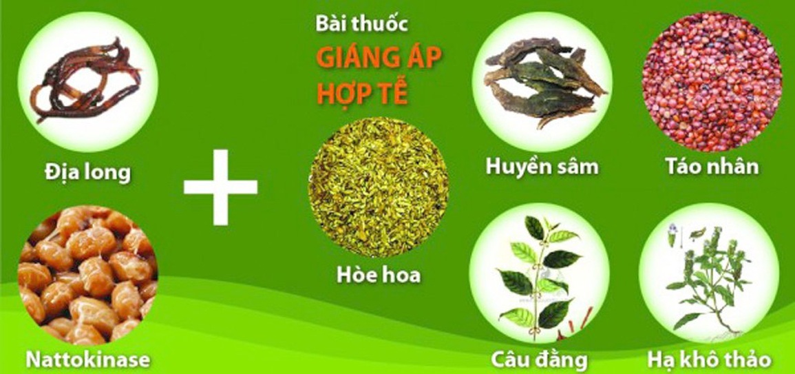 Đông Tây y kết hợp trong kiểm soát huyết áp, ngừa đột quỵ dịp Tết - 3 Đông Tây y kết hợp trong kiểm soát huyết áp, ngừa đột quỵ dịp Tết - 3