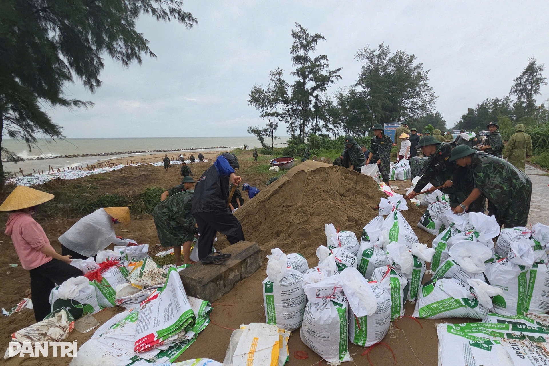 Hàng trăm chiến sĩ công an, biên phòng dầm mưa vác đá, cõng đất gia cố đê - 2 Hàng trăm chiến sĩ công an, biên phòng dầm mưa vác đá, cõng đất gia cố đê - 2