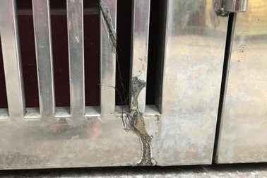 Những trò ghen tuông bệnh hoạn của người chồng tạt axit vợ