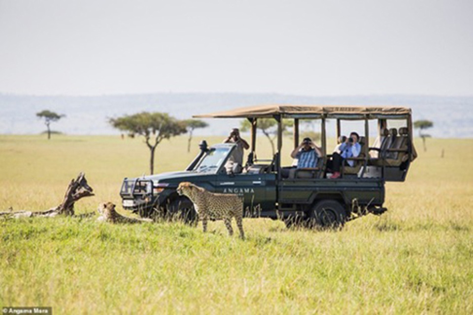 Đến Kenya chiêm ngưỡng những vẻ đẹp độc đáo có một không hai - 5 Đến Kenya chiêm ngưỡng những vẻ đẹp độc đáo có một không hai - 5