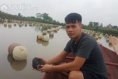 Ninh Bình: "Ném" 4 tỷ xuống ao, bắt trai nhả ngọc, 9X thu tiền tỷ