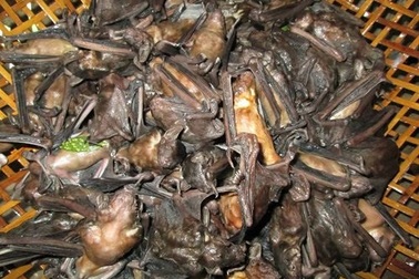 Loài vật xấu xí khiến nhiều người “khóc thét” lại là đặc sản “ngon trứ danh” ở miền Tây