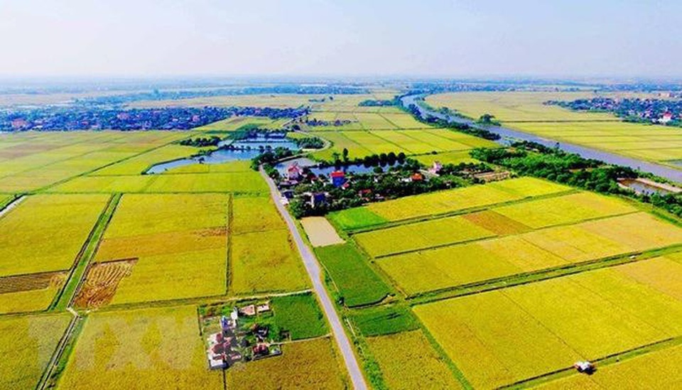 5 kinh nghiệm đầu tư đất nông nghiệp an toàn, sinh lời - 1 5 kinh nghiệm đầu tư đất nông nghiệp an toàn, sinh lời - 1