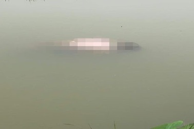 Thi thể người đàn ông cùng chiếc xe đạp "lập lờ" trên kênh nước