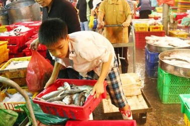 Doanh nghiệp cần biết về những quy định đối với lao động chưa thành niên