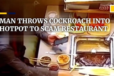 Người đàn ông thả gián vào nồi lẩu để tống tiền nhà hàng
