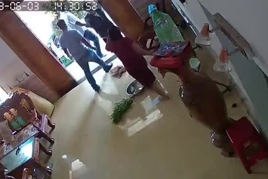 Nhóm côn đồ xông vào nhà hành hung bà Thoa