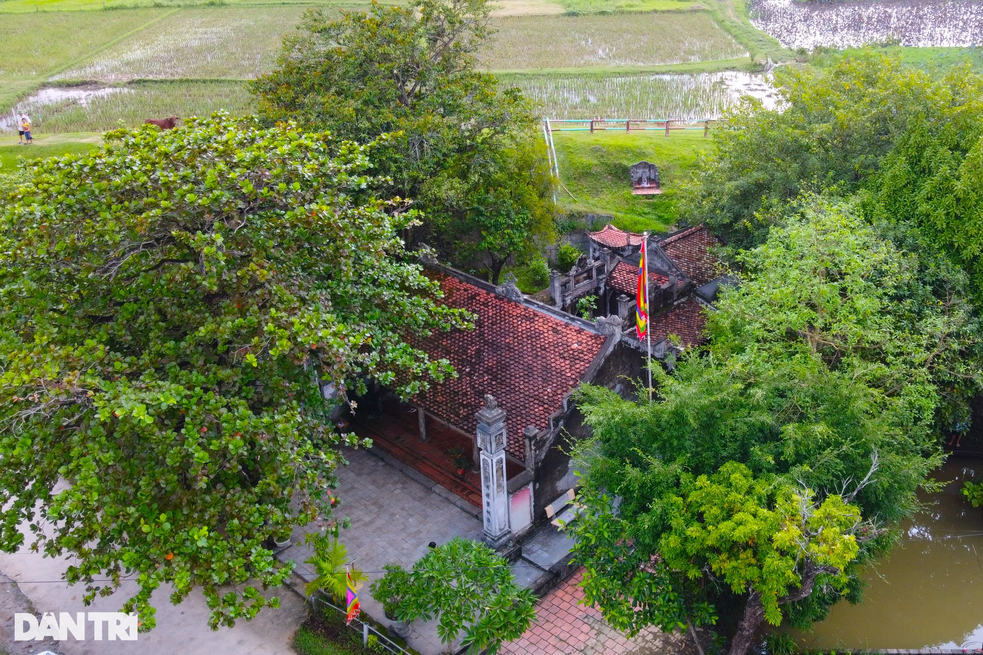 Phiến đá in hình đầu người phụ nữ kêu oan cho chồng - 1