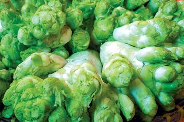 Nhà giàu Hà Nội chi tiền triệu “săn” đặc sản rau rừng