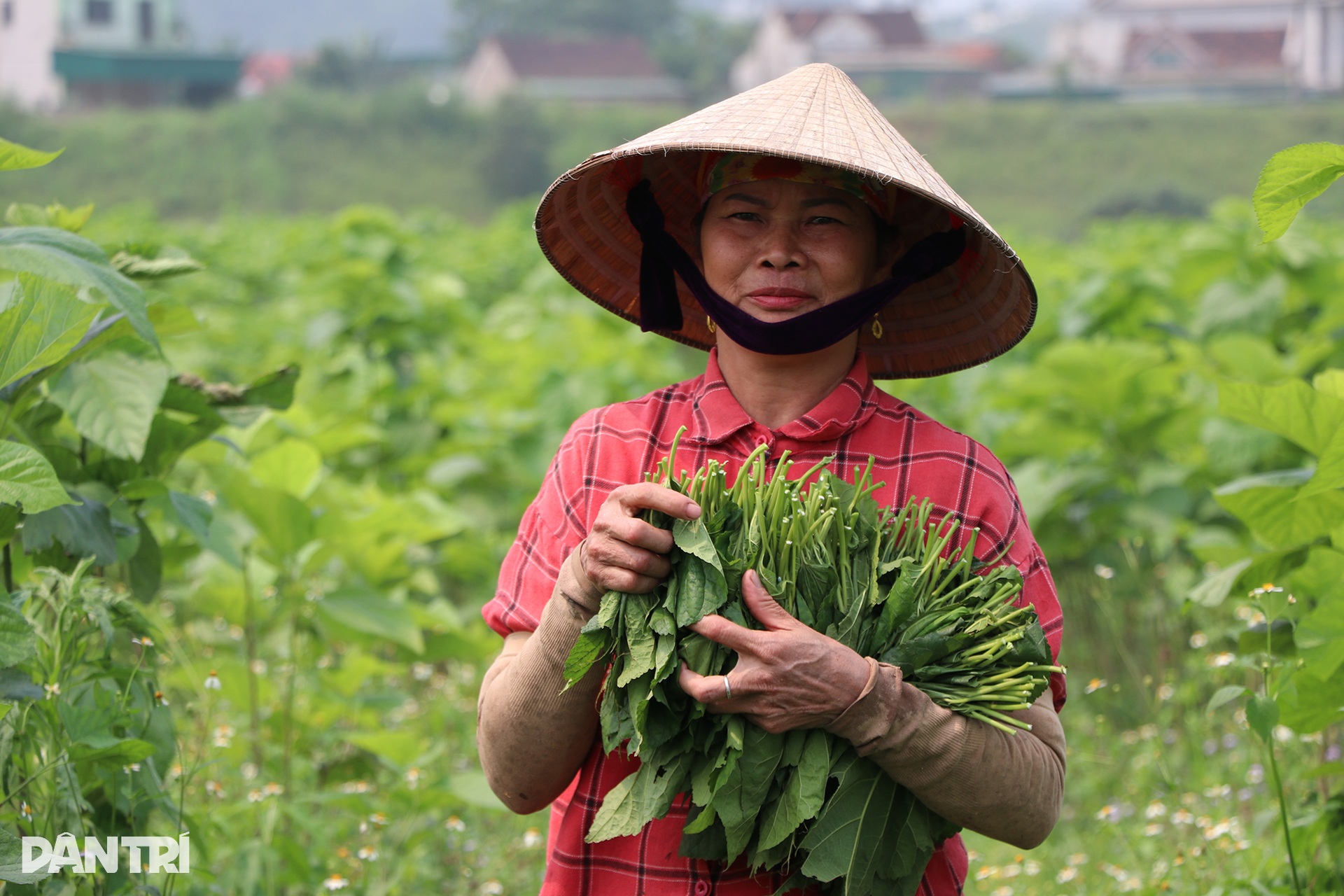 Lãi kép từ nuôi con khó chiều, nằm điều hòa - 12 Lãi kép từ nuôi con khó chiều, nằm điều hòa - 12