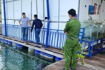 Liên tiếp bị khủng bố kiểu “xã hội đen”, người dân cầu cứu công an