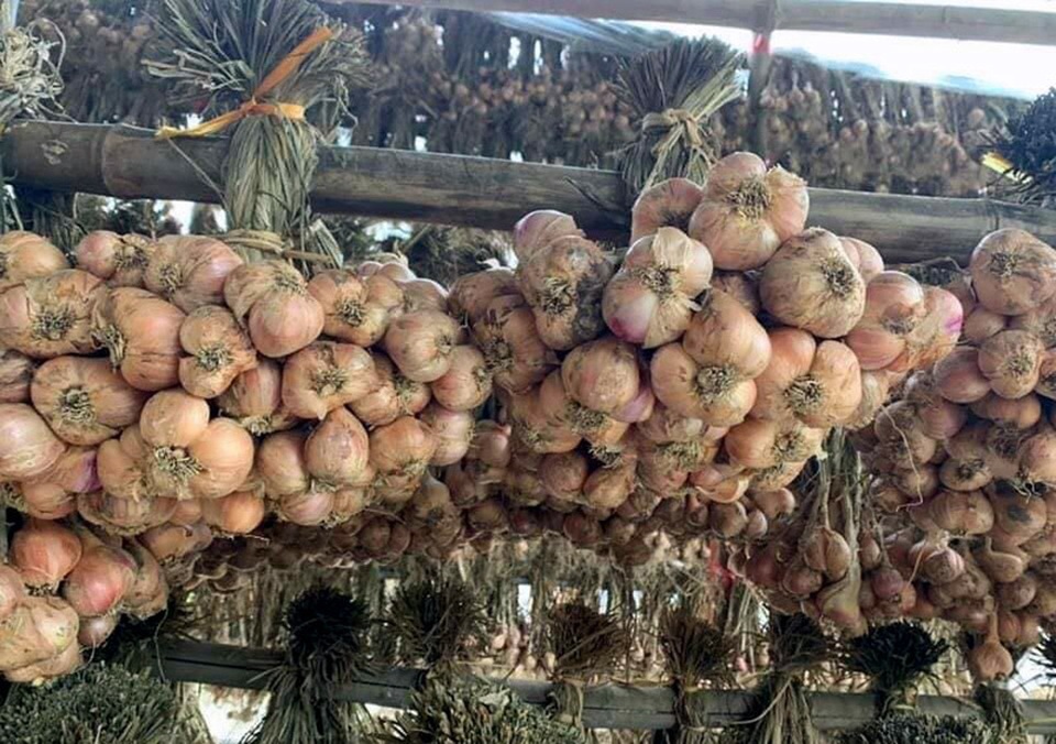 Bóc mẽ chiêu lừa hành tỏi Trung Quốc giả hàng Kinh Môn - Hải Dương - 5 Bóc mẽ chiêu lừa hành tỏi Trung Quốc giả hàng Kinh Môn - Hải Dương - 5