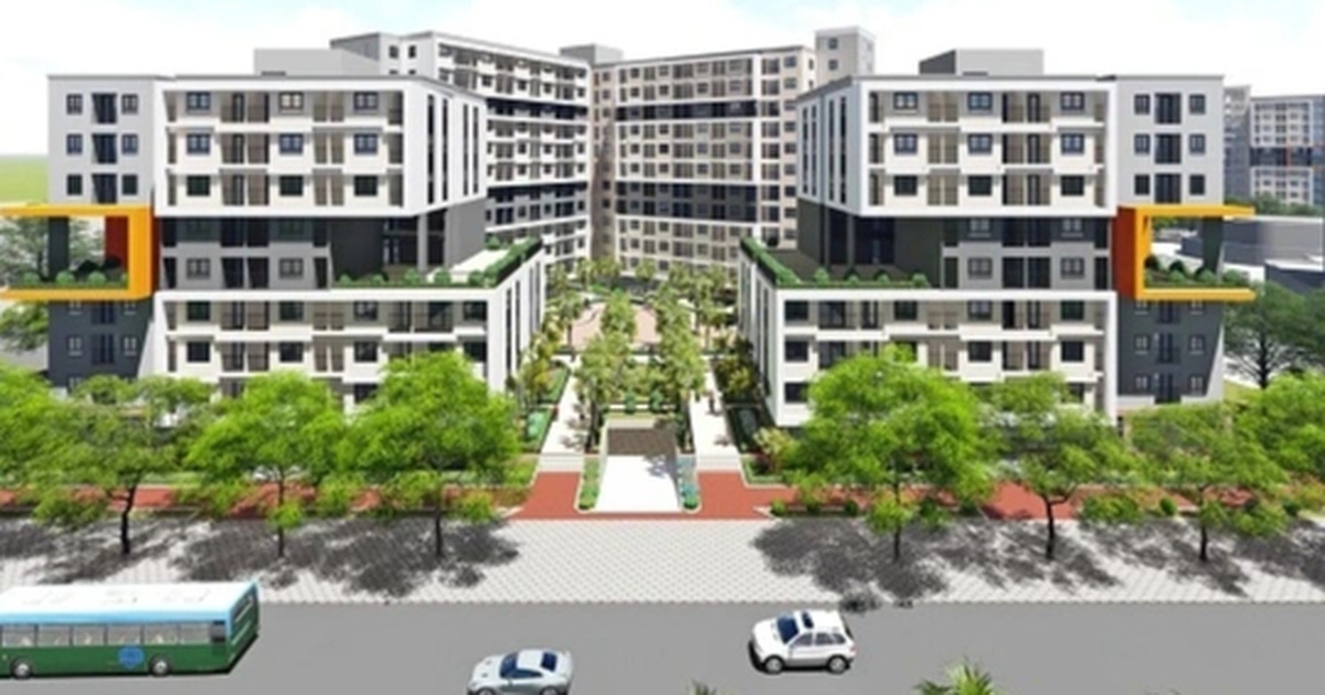 dantri.com.vn
