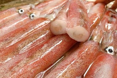 Điểm danh 4 loại mực phổ biến và cách sơ chế mực đơn giản