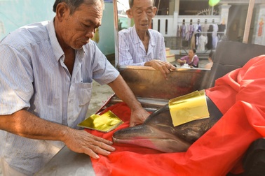 Tục thờ cá Ông và niềm tin bám biển của ngư dân Vũng Tàu