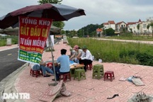 Thủ tướng: Xử nghiêm việc thao túng, đấu giá đất cao bất thường