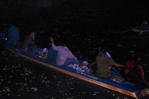 Vụ cháy rừng ở U Minh Thượng: Chủ rừng chủ quan